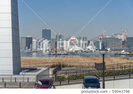 豐洲空地 50043796
