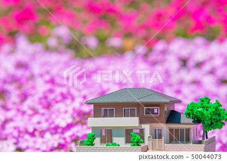 房地產家庭購買圖像 房地產家庭購買圖像 50044073