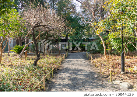 Mukojima Hyakuhoen在冬天 50044129