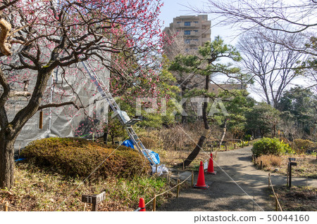 Mukojima Hyakuhoen在冬天 Mukojima Hyakuhoen在冬天 50044160