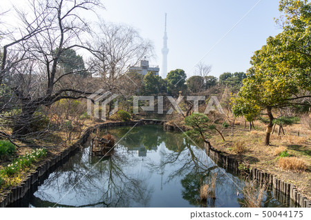 Mukojima Hyakuhoen在冬天 50044175