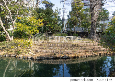 Mukojima Hyakuhoen在冬天 50044176