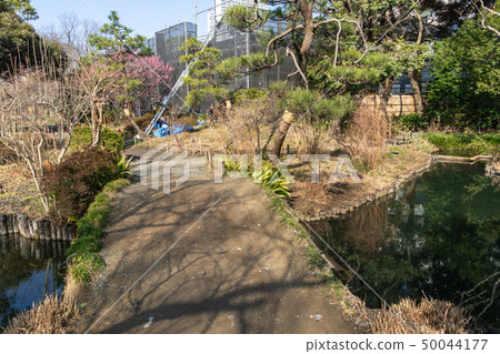 Mukojima Hyakuhoen在冬天 50044177