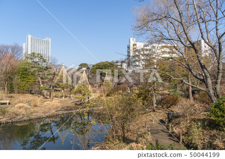 Mukojima Hyakuhoen in winter 50044199