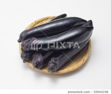 Chairperson 50044296