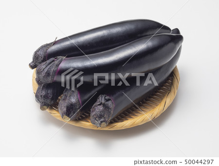 Chairperson 50044297