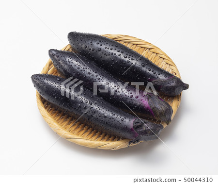長茄子 50044310