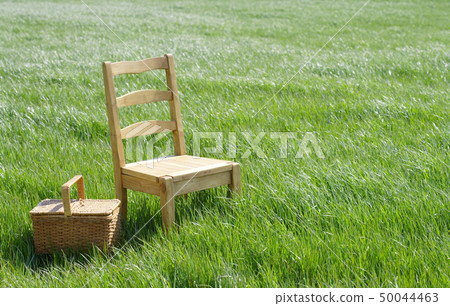 野餐在草地上 50044463