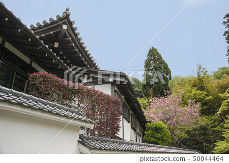 Engakuji Temple Tohsa（星期日，鎌倉市） 50044464