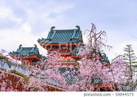 平安神宮 50044575