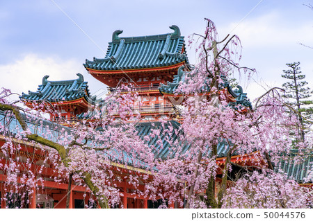 平安神宮 50044576