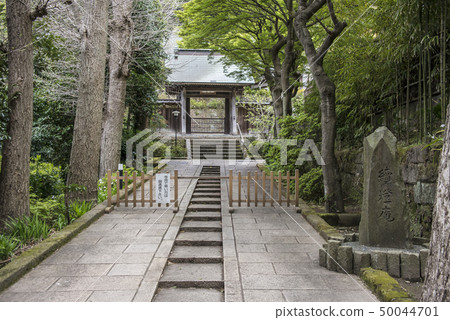 Engakuji Temple Tonosu Seiki（鎌倉市山之內） 50044701
