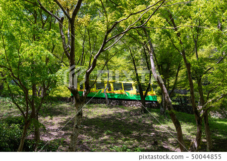 Takaosan Cable Car Aoba that runs fresh green 50044855