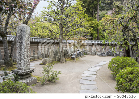 Enkakuji Hakata's Hundred Kannon (Kamakura City Yamanouchi) 50045530