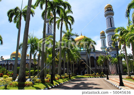 Jame Azul Hassanal Borkia Mosque (New Mosque) 50045636