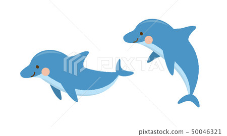 Dolphin 50046321
