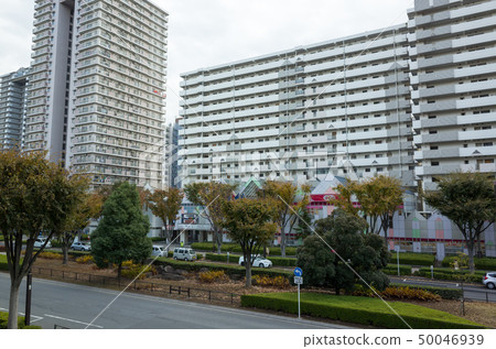 光丘 光丘 50046939