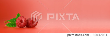 berry banner berry banner 50047081
