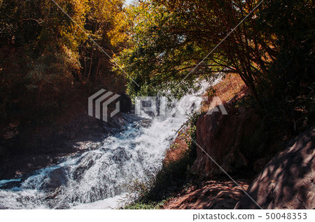 Datanla Waterfall and forest in Dalat, Vietnam in 50048353