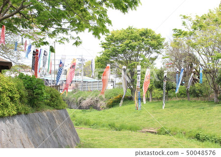 Seya Ward Izumigawa 50048576