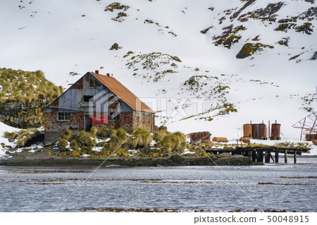 Falling Whaling Vessels and Whaling Bases South Georgia Prince Au Love Harbor 50048915