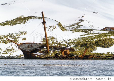 Falling Whaling Vessels and Whaling Bases South Georgia Prince Au Love Harbor 50048916