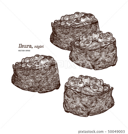 Ikura nigiri, hand draw sketch vector. Ikura nigiri, hand draw sketch vector. 50049003