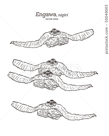 Engawa Nigiri, hand draw sketch vector. Engawa Nigiri, hand draw sketch vector. 50049005