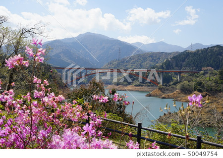 Miyagase lake of Sagamihara City Midori Ward 50049754