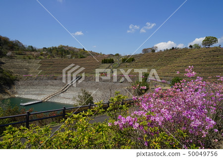 Miyagase lake of Sagamihara City Midori Ward 50049756