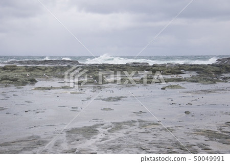 Senjojiki coast (March) in Fukaura-cho, Nishitsugaru-gun, Aomori Prefecture Senjojiki coast (March) in Fukaura-cho, Nishitsugaru-gun, Aomori Prefecture 50049991