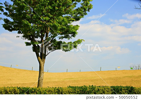 花園郊遊！ 50050552