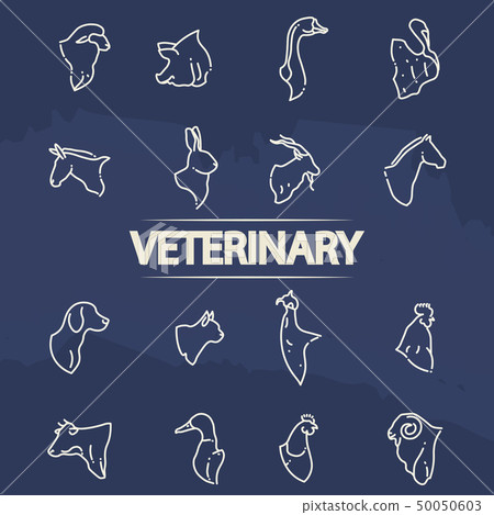 Veterinary icons - line animal heads icons 50050603