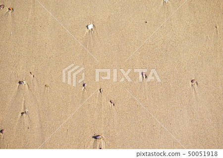 Top view of seashore, clean sand texture of natural surface. Top view of seashore, clean sand texture of natural surface. 50051918
