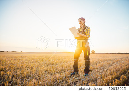Farmer woman with clipboard on field, harvest going on Farmer woman with clipboard on field, harvest going on 50052925