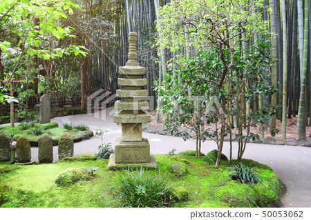 Stone pagoda and bamboo garden, Hokokuji temple, Stone pagoda and bamboo garden, Hokokuji temple, 50053062