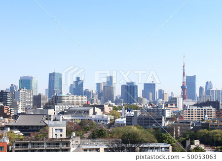 Aerial view on Tokyo, Japan 50053063