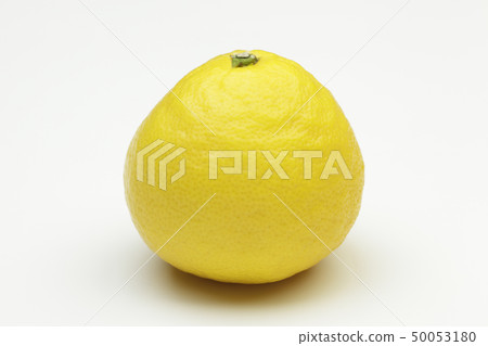 日向夏天 日向夏天 50053180