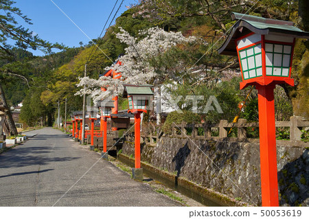 在島根塔尼伊納里神社入口附近的島根市（San的小京都）Tsuwano 50053619