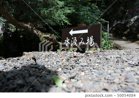 Shimizu of living Shimizu of living 50054084