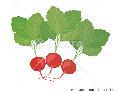 Radish Radish 50055212