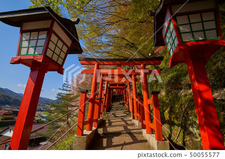 島根的Tsuwano（San-in的小京都）Taikoku Valley Inari神社Senbon Torii的方法（向西） 50055577