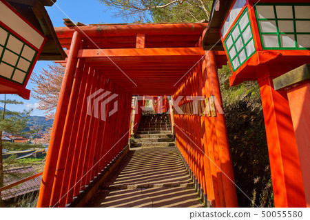 Tsuwano in Shimane (San-in's small Kyoto) Taikoku Valley Inari Shrine Senbon Torii's approach (going to the west) 50055580