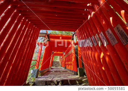 Tsuwano of Shimane (San-in's small Kyoto) Taikoku valley Inari Shinto shrine Senbon Torii approach 50055581