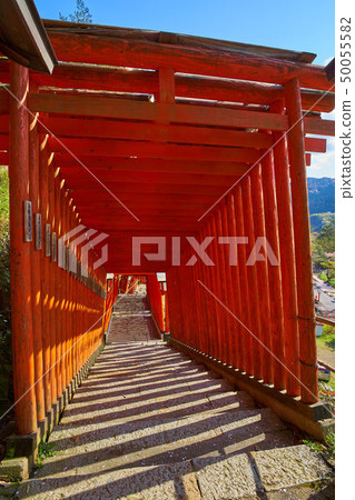 Tsuwano in Shimane (San-in's small Kyoto) Taikoku valley Inajin Shrine Senbon Torii's approach (toward the east) 50055582