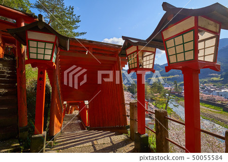 Tsuwano in Shimane (San-in's small Kyoto) Taikoku valley Inajin Shrine Senbon Torii's approach (toward the east) 50055584