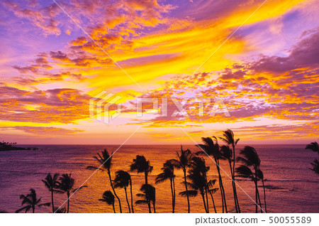 在Mauna Lani的日落 50055589