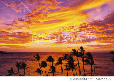 在Mauna Lani的日落 50055590