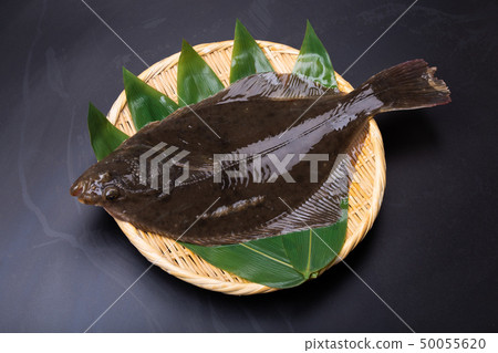 石頭平底石Ishigarei 50055620