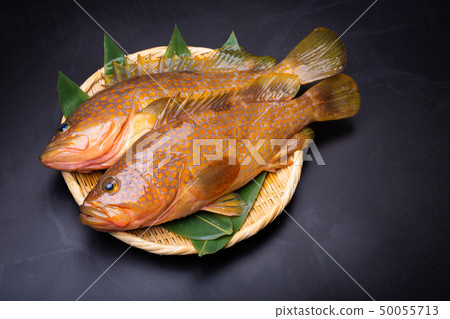 Aphid pheasant 50055713